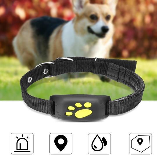 Compact GPS Pet Tracker With Real Time Location Updates