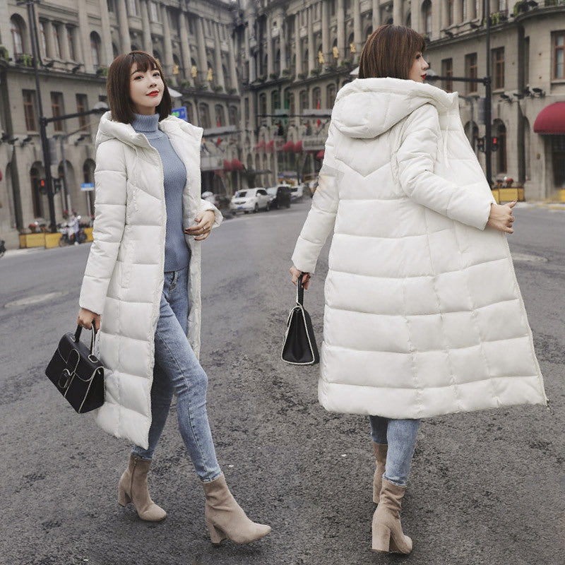 Women's Down And Cotton-padded Jackets From Dongdaemun