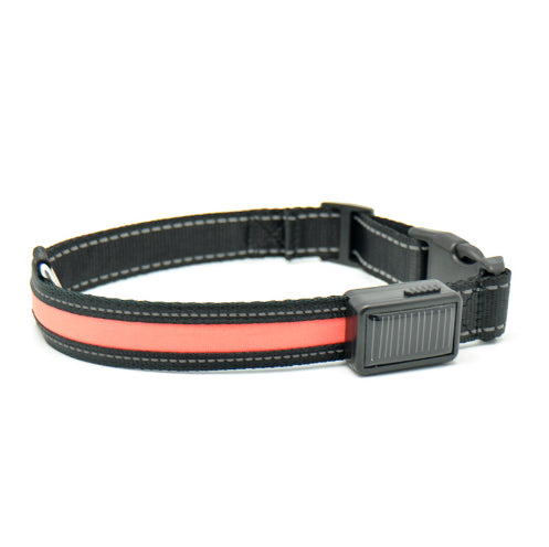 Fluorescent Dog Collar For Nighttime Visibility