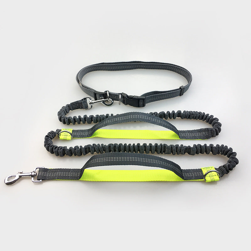 Reflective Double Elastic Dog Leash For Running And Training