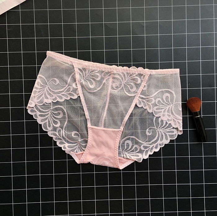 See Through Lace Panties with Low Waisted Design-Light Pink-Theone Apparel