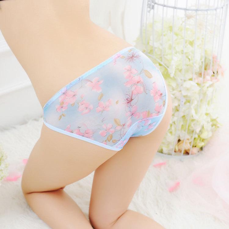 Sheer Cherry Blossom Bikini Panties - Theone Apparel